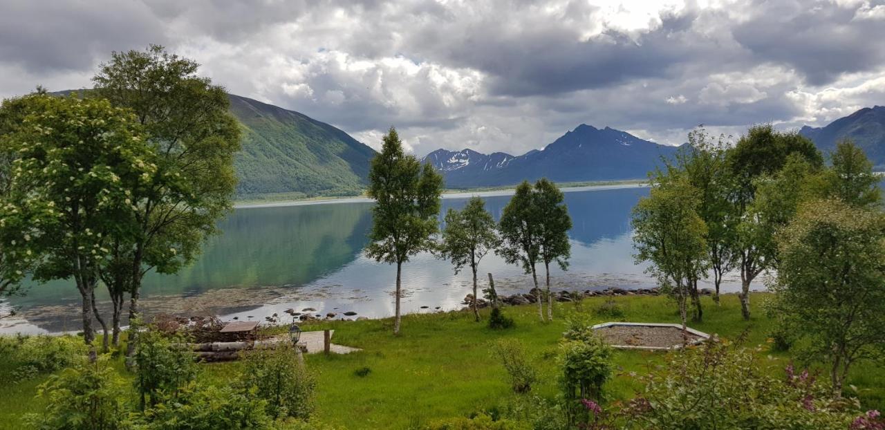 Lykkebo, Skjoldehamnveien 1151, Nygard, Andoy Villa Risoyhamn Exterior photo